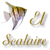 El Scalaire